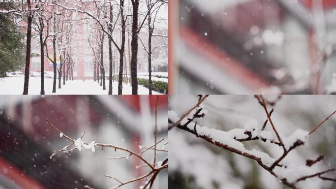 雪花飘落