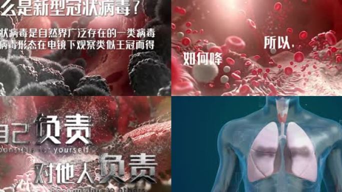 武汉新冠状病毒感染危害人体动画过程