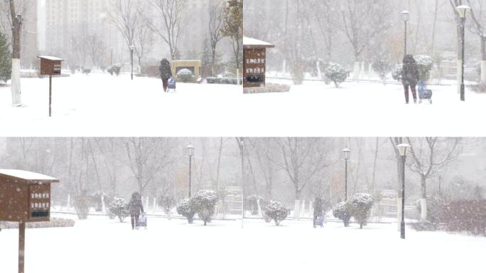 4K大雪-下雪-风雪中老人孤独的背景