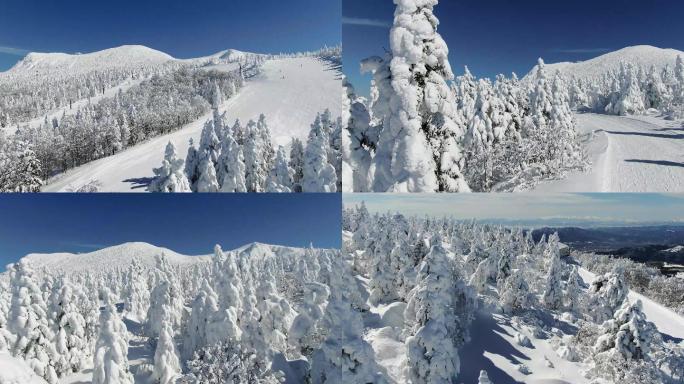 4k冰天雪地雪山滑雪场景点航拍