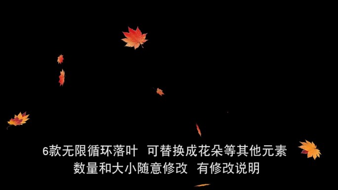 6款叶子飘落视频素材【无缝循环】