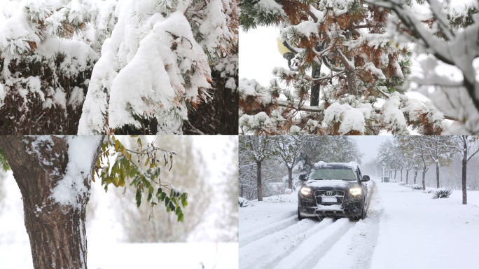 漫天大雪纷飞下雪雪中的马路树木汽车