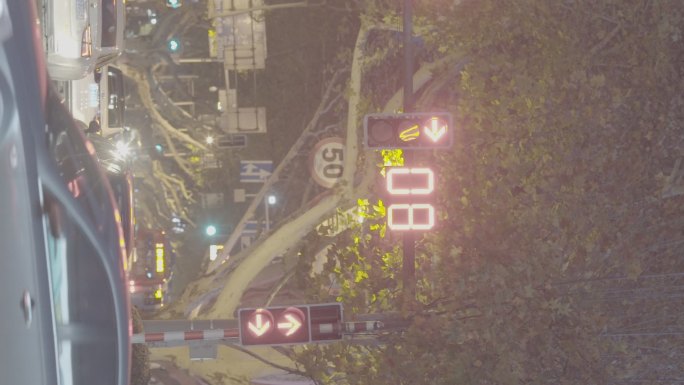 交通信号灯红绿倒计时竖屏视频素材