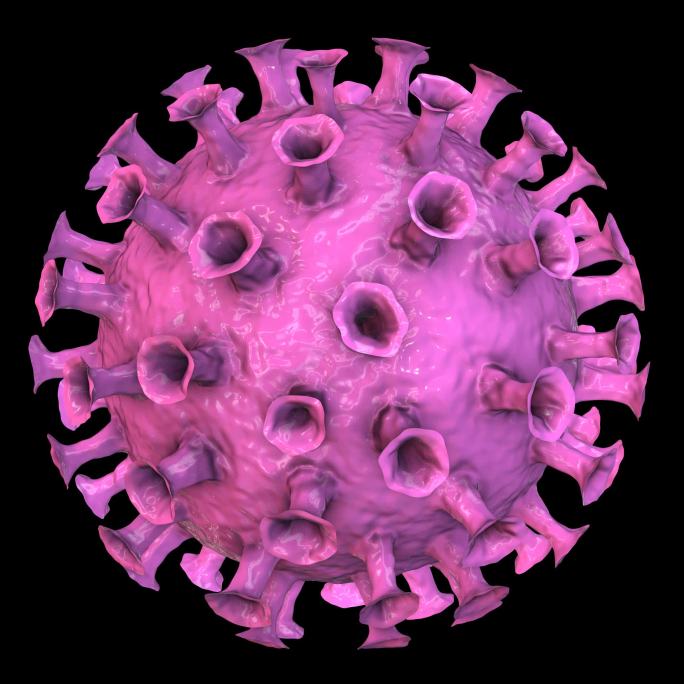 冠状病毒新型冠状病毒带通道循环