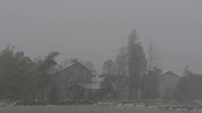 冬季农村下雪