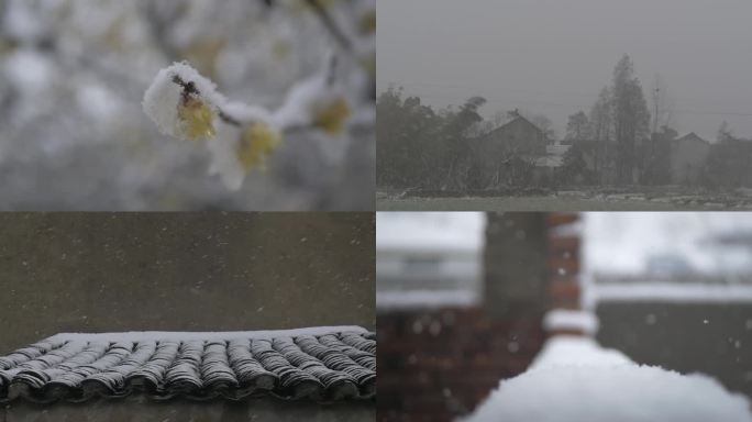 冬季农村下雪