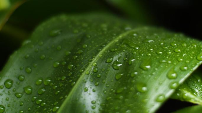 小区里下雨天的屋檐窗户