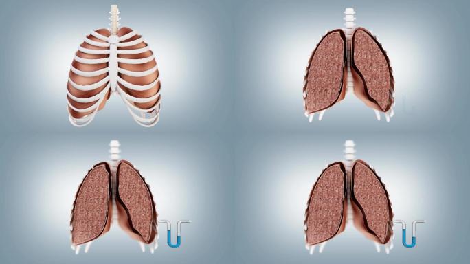 病理生理学胸膜腔负压三维演示动画视频素材