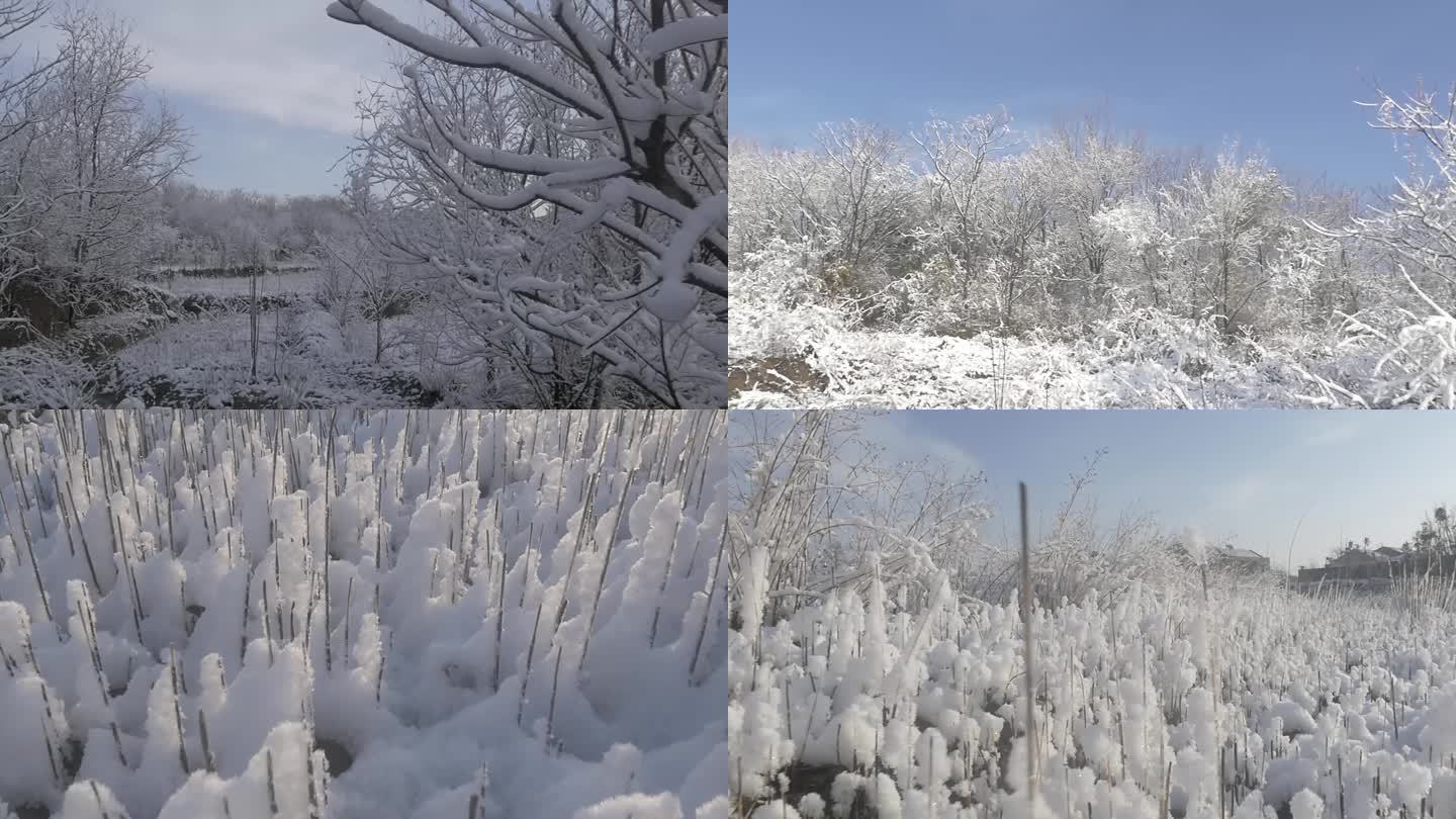 睛天雪景