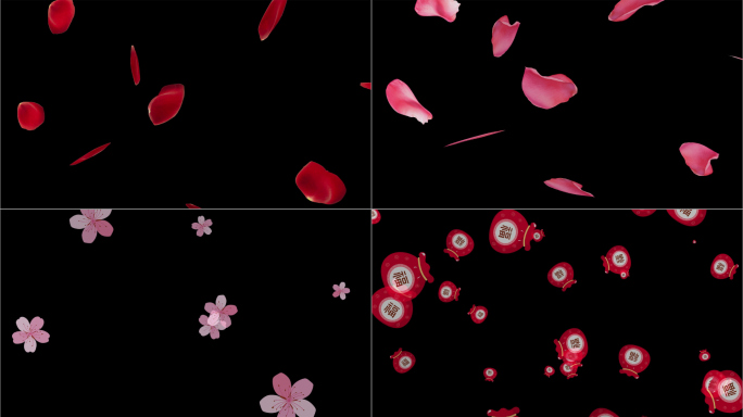【无缝循环】6款透明背景花瓣飘落视频素材