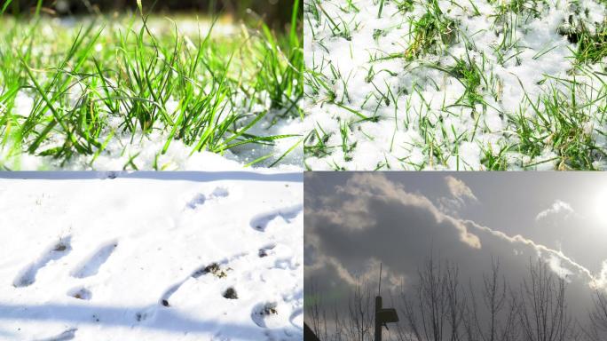 4K冬天积雪阳光小草暖阳初春阳光