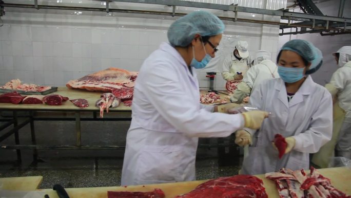 04牛肉检测农业专家