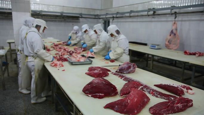 12屠宰厂牛肉加工绿色食品