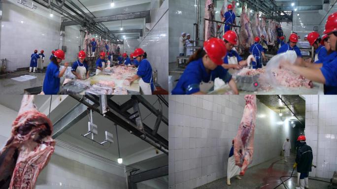 07屠宰厂屠宰场牛肉加工绿色食品