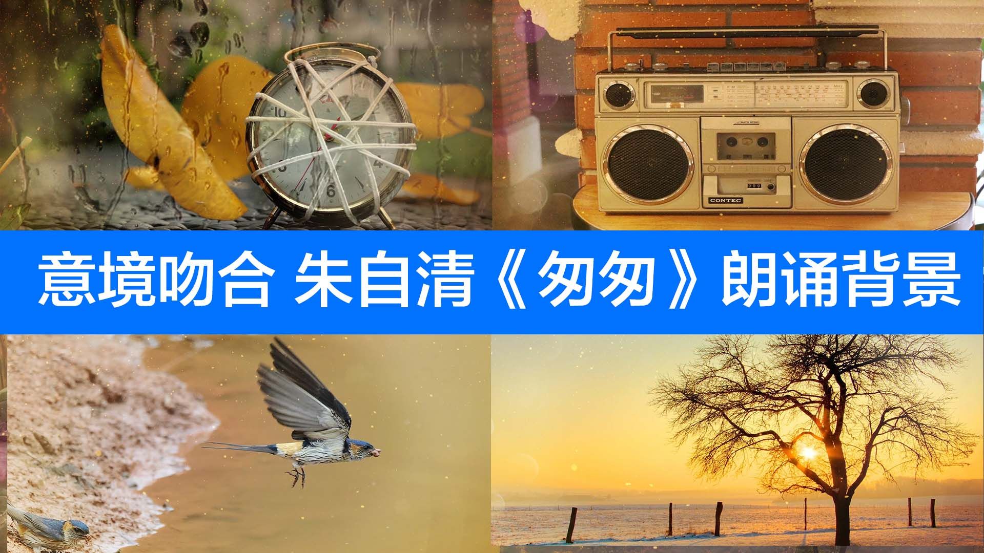 唯美意境—朱自清《匆匆》经典朗诵背景_视频素材包下载(编号:4342624