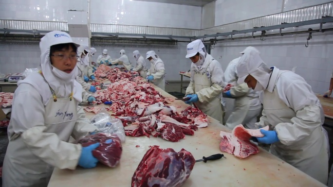 13屠宰厂牛肉加工绿色食品