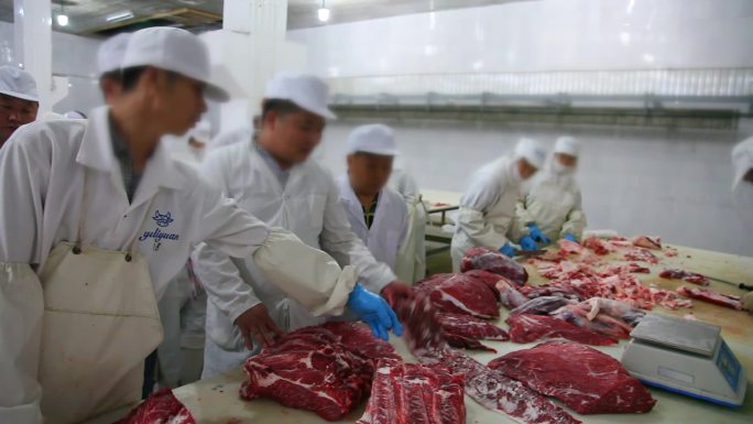 18牛肉检测牛肉专家检测