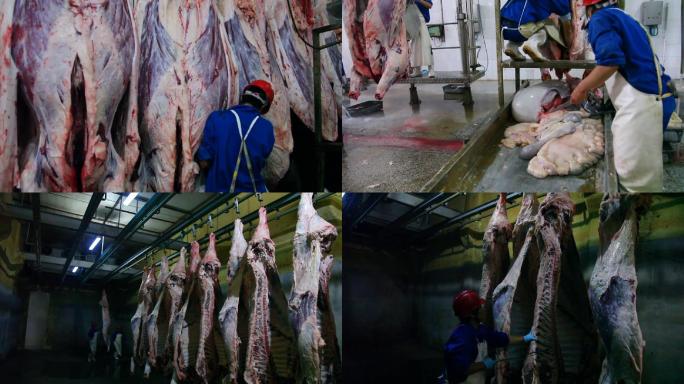 09屠宰厂牛肉排酸绿色食品