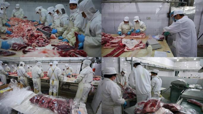 21屠宰厂屠宰场牛肉加工绿色食品