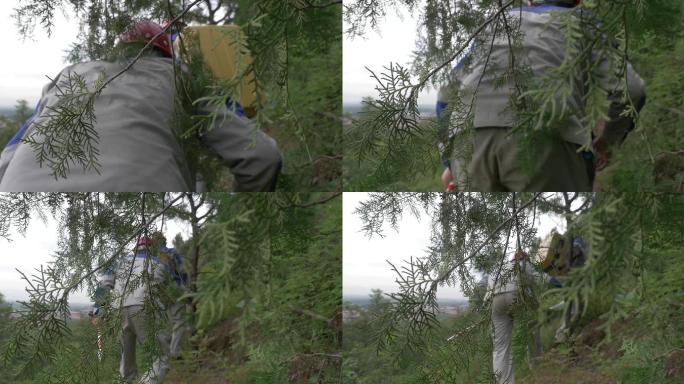 地矿勘探队走在山林间