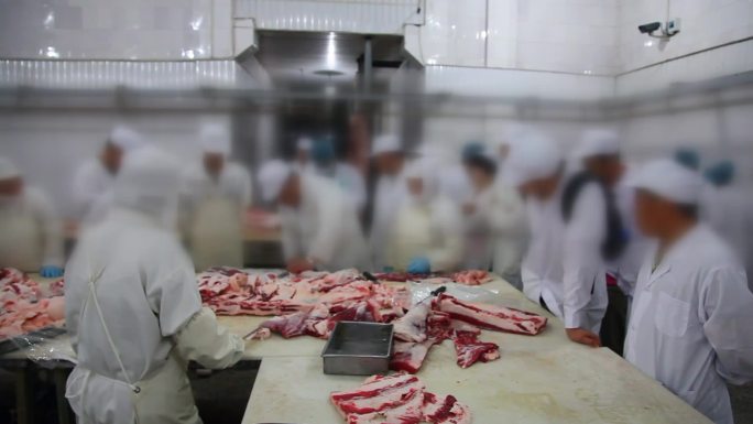 17牛肉检测农业专家牛肉专家检测