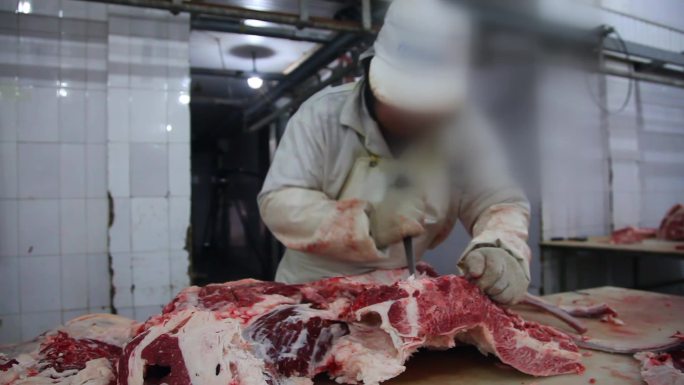 22屠宰厂屠宰场牛肉加工绿色食品
