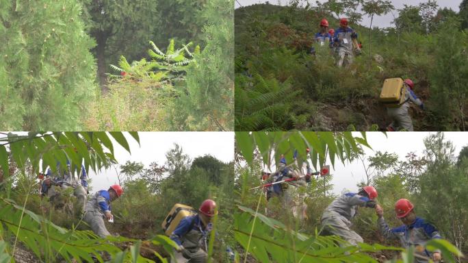 地质地矿勘探测绘队跨越山林