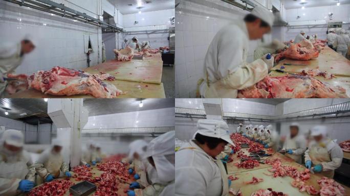 24屠宰厂屠宰场牛肉加工绿色食品