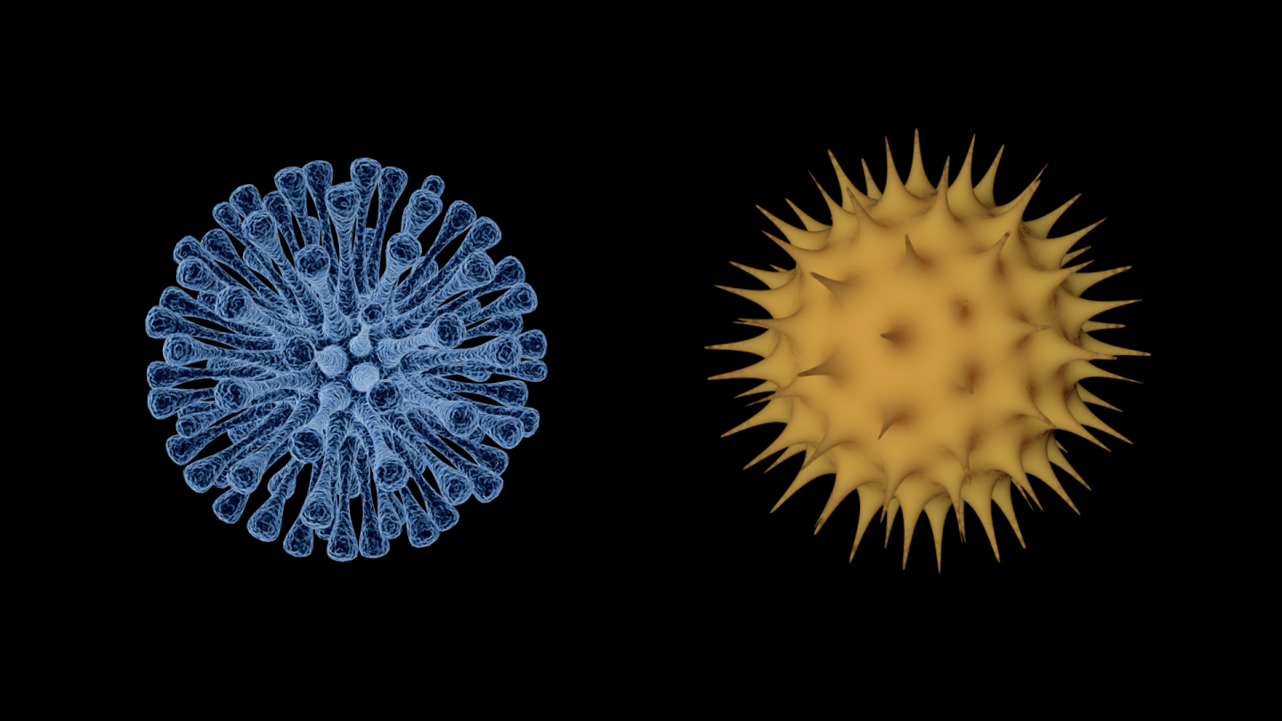 新冠状病毒不同形态的细胞病毒视频素材
