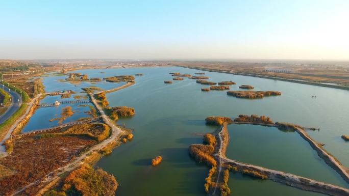 航拍内蒙古黄河湿地