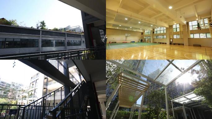 学校走廊篮球场花园学校建筑
