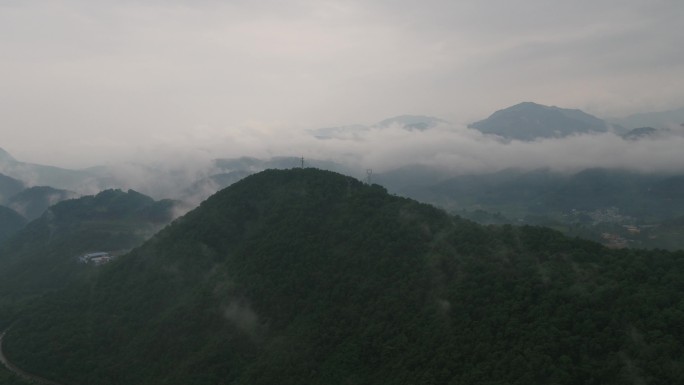 茶山云雾航拍