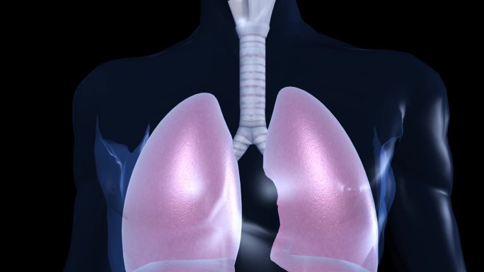 肺部感染新冠病毒之后的变化