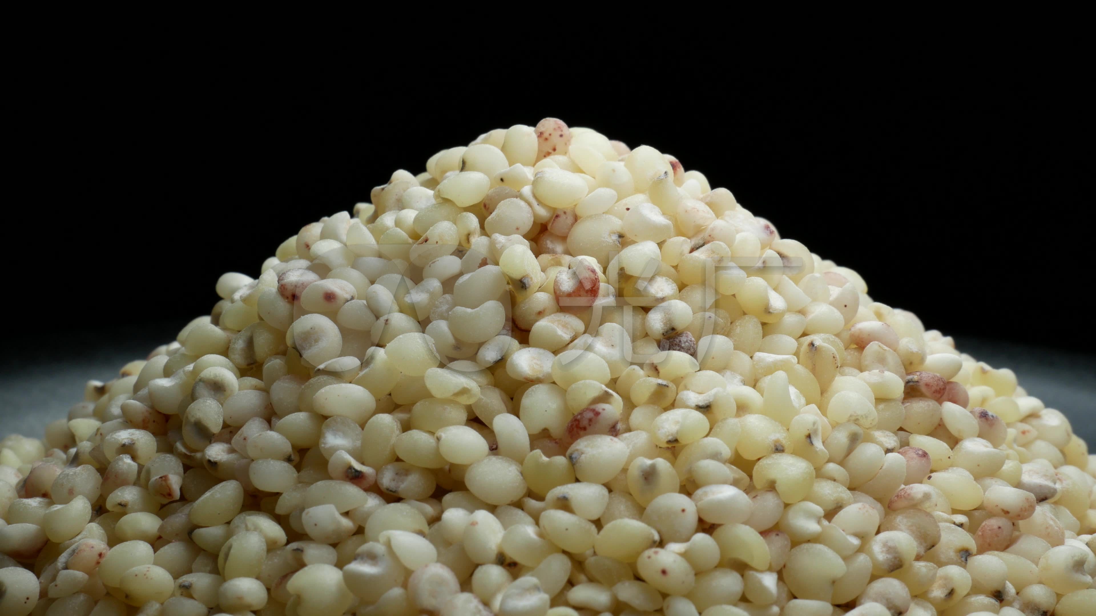 高粱米食物摄影实物摄影图片素材-编号32048117-图行天下