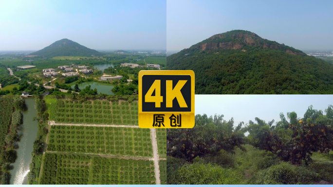 无锡阳山水蜜桃航拍
