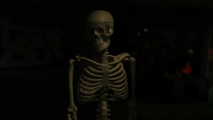 黑暗中出现的骷髅架恐怖人体骨骼