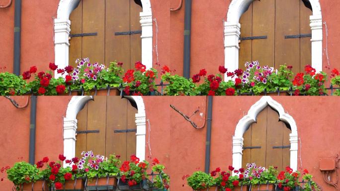 意大利威尼斯burano窗台花