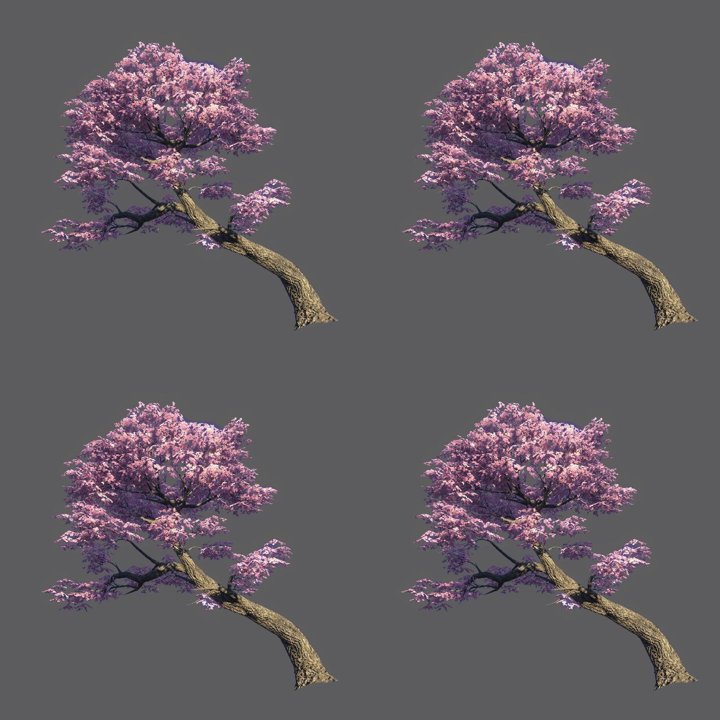 桃花树——2K无损免扣动态素材