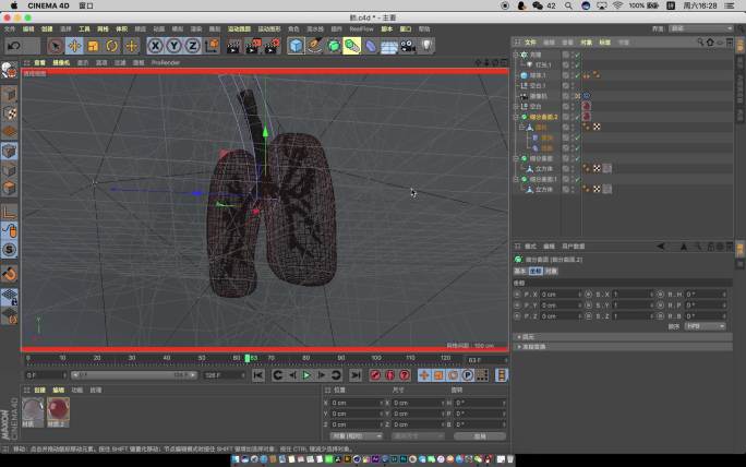 心肺C4D模型带材质