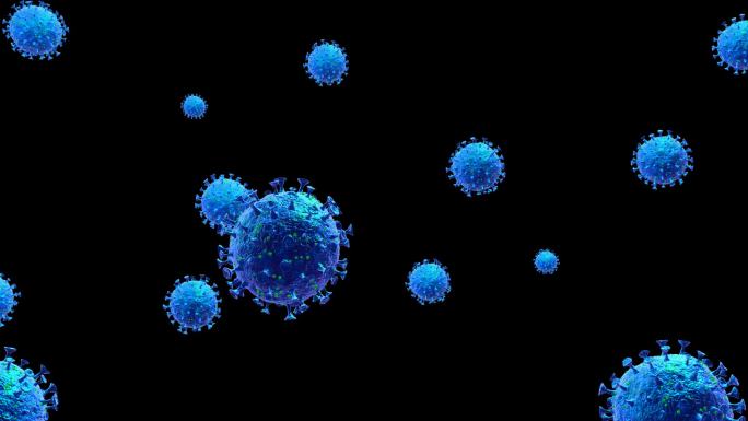 新型冠状病毒三维模型