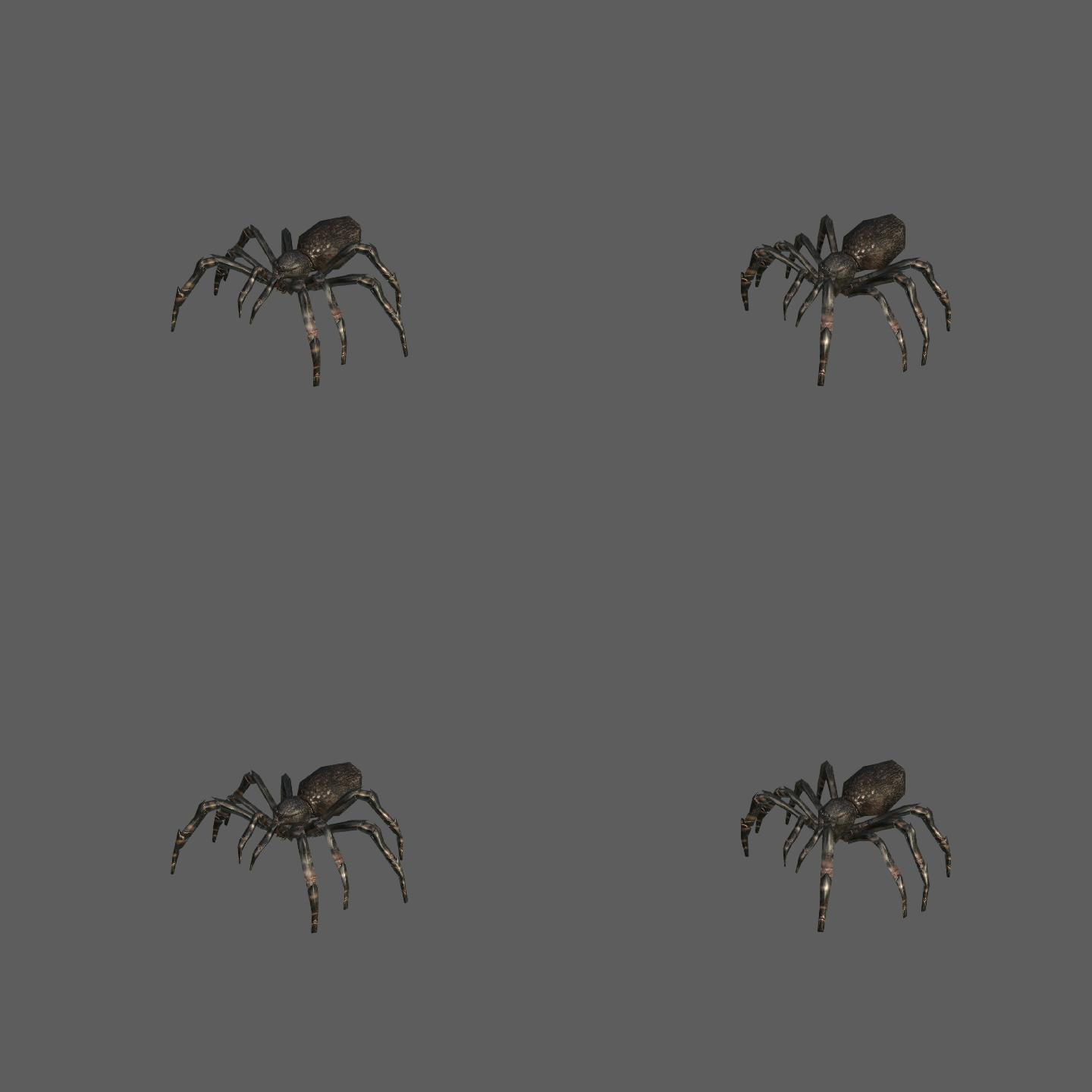 蜘蛛——2K无损免扣动态素材