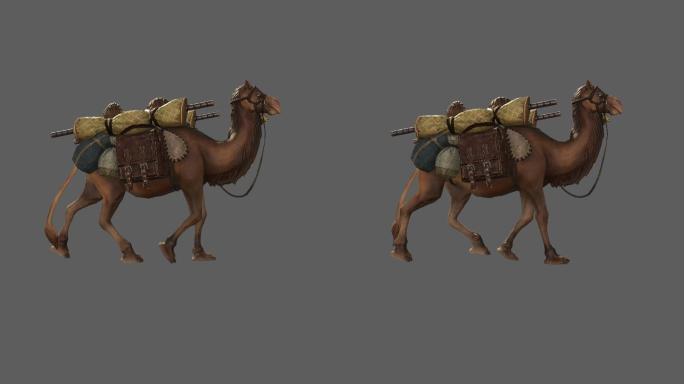 沙漠骆驼——2K无损免扣动态素材