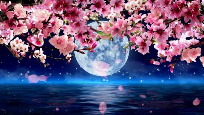水中月亮桃花背景