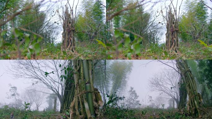 4K纪录片荒地树堆空镜