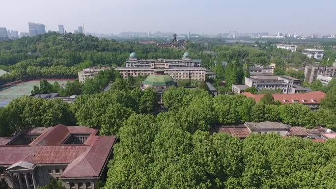 东南大学东大绿荫大道梧桐树大学