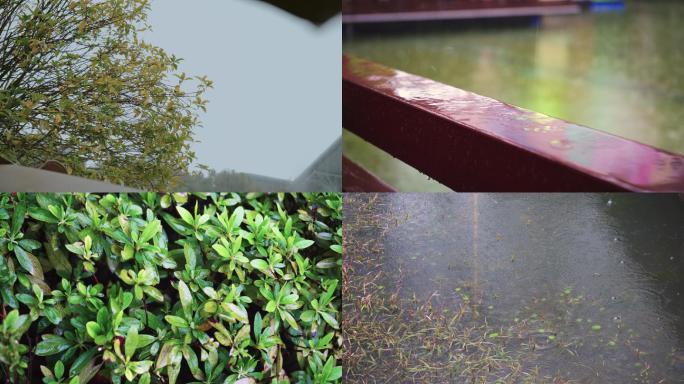 4k下雨雨水唯美写意空镜