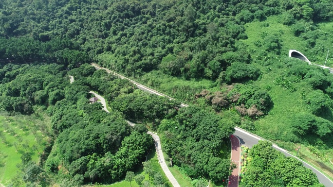 深圳淘金山绿道航拍美景