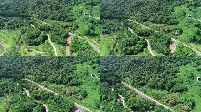 深圳淘金山绿道航拍美景