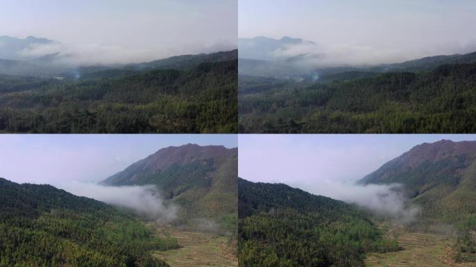 【4K】航拍森林大山云雾
