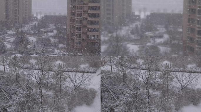 城市小区雪花飞舞